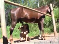 Big tits zoophilia lover making a horse cum